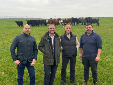 British Beef Week