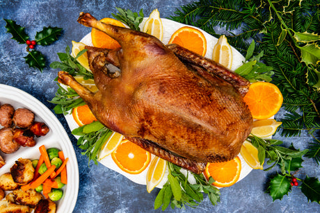 Fresh Goose